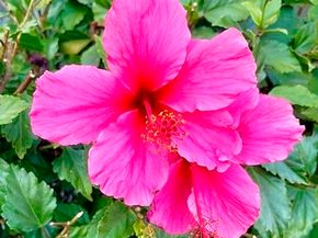 362 Summit Ct, Pinole CA 94564