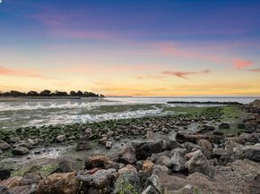 1321 Webster St D116, Alameda CA 94501