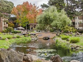 1321 Webster St D116, Alameda CA 94501