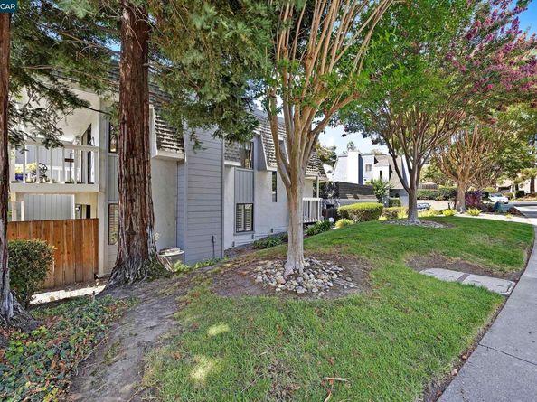 700 Tampico, Walnut Creek CA 94598