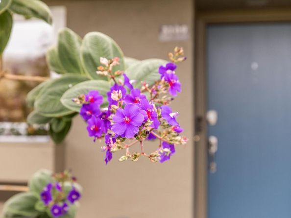 3109 La Campania, Alameda CA 94502