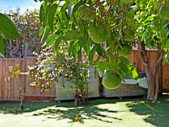 2309 High St, Oakland CA 94601