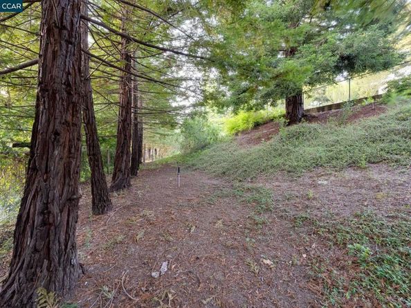 9 Irvine Drive, Moraga CA 94556