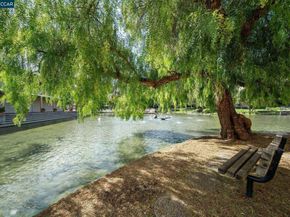 320 N Civic Drive 407, Walnut Creek CA 94596