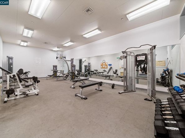 320 N Civic Drive 407, Walnut Creek CA 94596