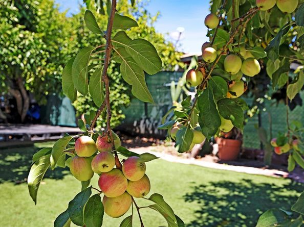 2309 High St, Oakland CA 94601