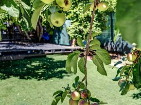 2309 High St, Oakland CA 94601