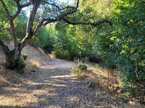 40 Hilldale Ct, Orinda CA 94563