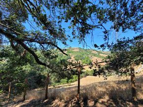 40 Hilldale Ct, Orinda CA 94563