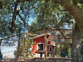 40 Hilldale Ct, Orinda CA 94563