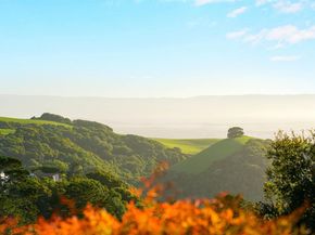 3499 La Mesa Dr, Hayward CA 94542