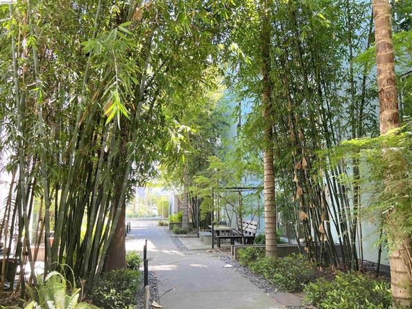 1253 Pine St, Oakland CA 94607