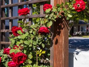 965 Ramona Way, San Leandro CA 94577