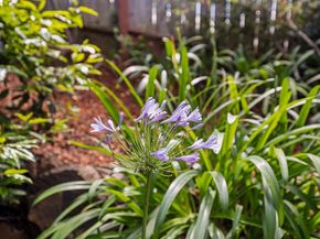 3560 Dwight Way, Berkeley CA 94704