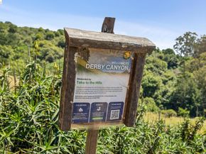 3560 Dwight Way, Berkeley CA 94704