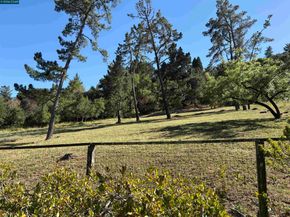 218 Overhill Rd, Orinda CA 94563