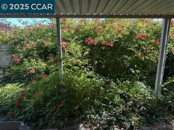 35593 Cleremont Dr, Newark CA 94560
