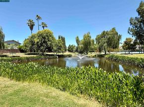 4513 Birch Bark Rd, Concord CA 94521