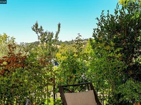 703 Terra California 6, Walnut Creek CA 94595
