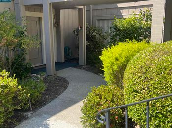 703 Terra California