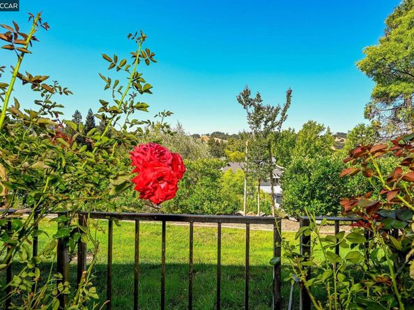 703 Terra California 6, Walnut Creek CA 94595
