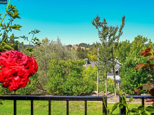 703 Terra California 6, Walnut Creek CA 94595