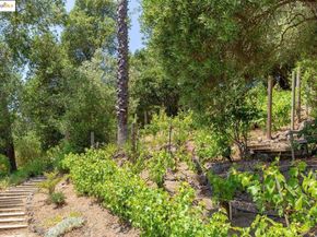 151 La Espiral, Orinda CA 94563