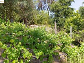151 La Espiral, Orinda CA 94563