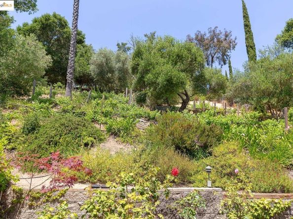 151 La Espiral, Orinda CA 94563