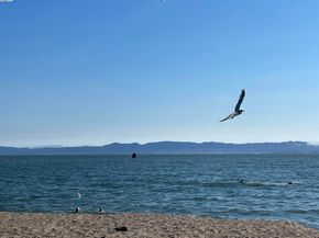 965 Shorepoint Ct #200, Alameda CA 94501
