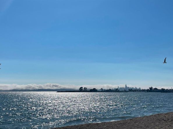 965 Shorepoint Ct #200, Alameda CA 94501