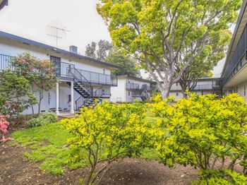 14225 Lora Drive