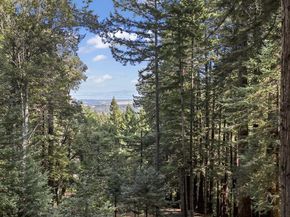 320 Grandview Drive, Woodside CA 94062