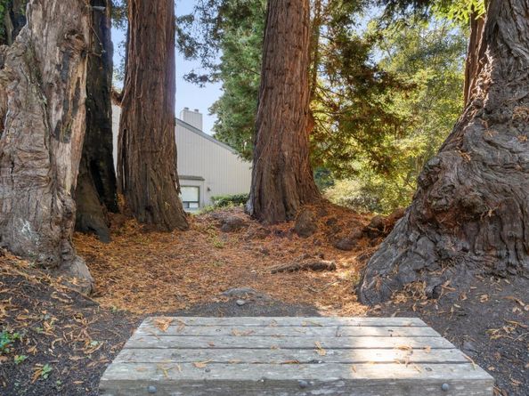 355 Village Creek Road, Aptos CA 95003
