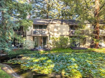 505 Cypress Point Drive