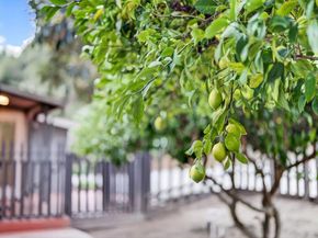 1455 Fern Flat Road, Aptos CA 95003