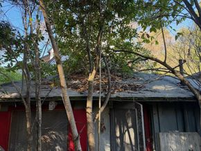 653 Melville Avenue, Palo Alto CA 94301