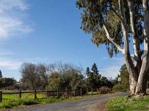 4127 Old Adobe Road, Palo Alto CA 94306