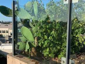 102 University Avenue 3A 3B 3C, Palo Alto CA 94301