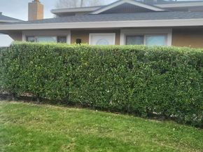 1420 Ruby Court 1, Capitola CA 95010