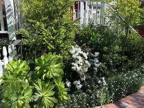 928-930 Scott Street, Palo Alto CA 94301