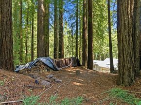 1460 Tucker Road, Scotts Valley CA 95066