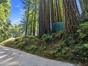 1460 Tucker Road, Scotts Valley CA 95066