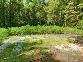 1460 Tucker Road, Scotts Valley CA 95066