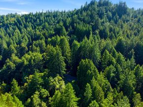 1460 Tucker Road, Scotts Valley CA 95066