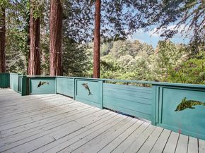123 Pine Avenue, Felton CA 95018