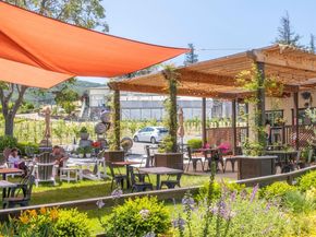1646 Siderits Way, Gilroy CA 95020