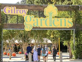 1646 Siderits Way, Gilroy CA 95020