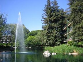 932 Peninsula Avenue 406, San Mateo CA 94401