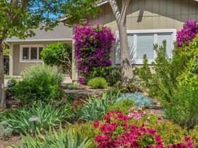 18967 Palo Oaks Court, Saratoga CA 95070